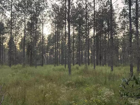 lot5 Wallace Lake Rd, Pace, FL 32571