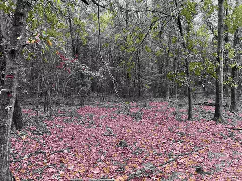 lot16 Pineview Church Rd, Jay, FL 32565