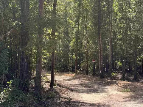 lot16 Pineview Church Rd, Jay, FL 32565 photo 4