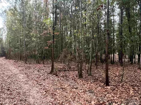 lot16 Pineview Church Rd, Jay, FL 32565 photo 2