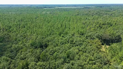 0000 Velor Rd, Mcdavid, FL 32568 photo 6