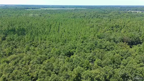 0000 Velor Rd, Mcdavid, FL 32568 photo 5