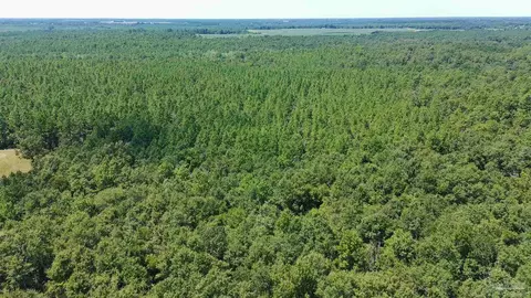 0000 Velor Rd, Mcdavid, FL 32568 photo 4