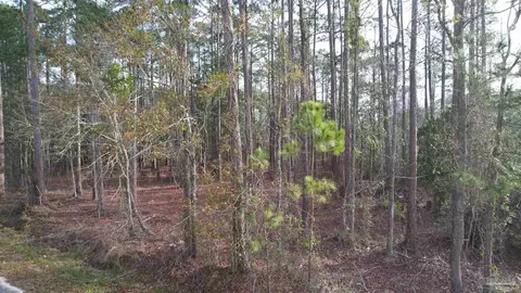 4533 Bayside Dr, Milton, FL 32583 photo 6