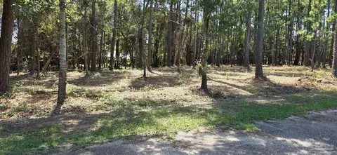 000 Falling Brook Ct, Pace, FL 32571 photo 14