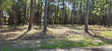 000 Falling Brook Ct, Pace, FL 32571 photo 13