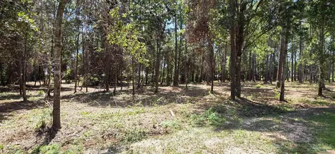 000 Falling Brook Ct, Pace, FL 32571 photo 6