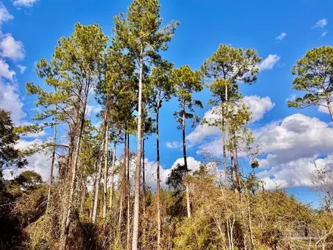 lot9 Denali Rd, Jay, FL 32565 photo 18