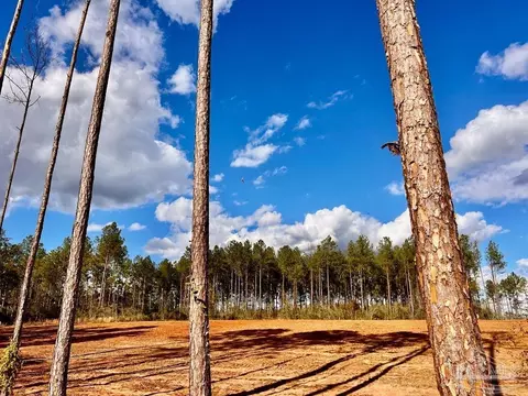 lot9 Denali Rd, Jay, FL 32565 photo 19