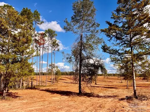 lot9 Denali Rd, Jay, FL 32565 photo 16