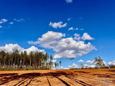 lot9 Denali Rd, Jay, FL 32565 photo 20