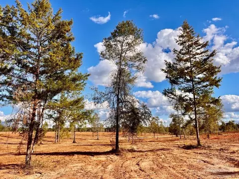 lot9 Denali Rd, Jay, FL 32565 photo 17