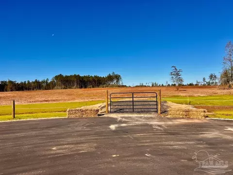 lot9 Denali Rd, Jay, FL 32565 photo 9