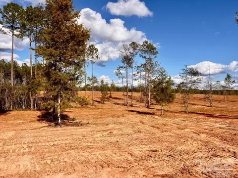 lot9 Denali Rd, Jay, FL 32565 photo 14