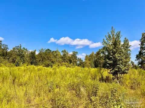 lot6 C Cotton Lake Rd, Molino, FL 32577