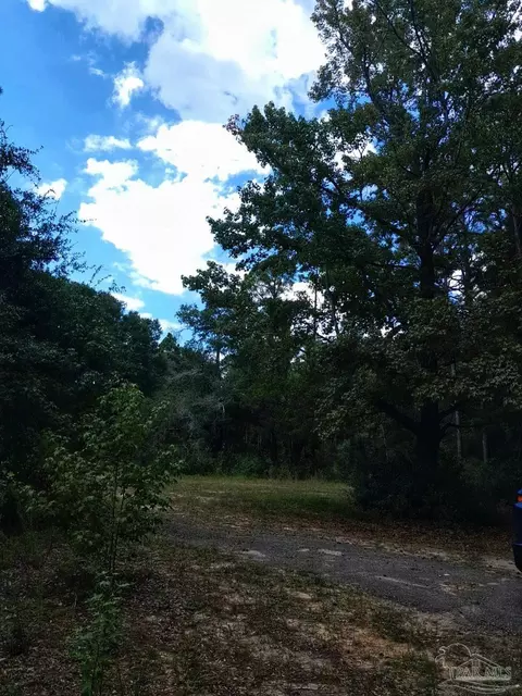 tbd Hamilton Bridge Rd, Milton, FL 32570