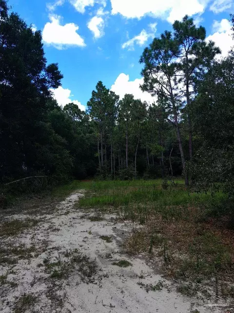 tbd Hamilton Bridge Rd, Milton, FL 32570 photo 3