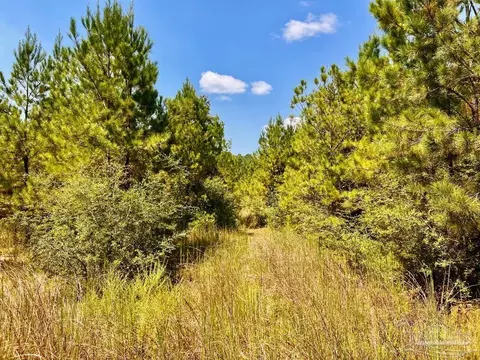 lot15 SW Bashi Rd, Pace, FL 32571 photo 32