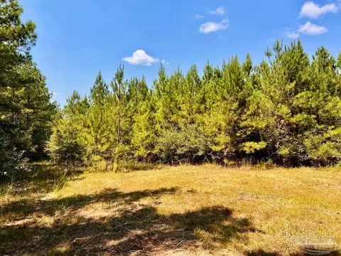lot15 SW Bashi Rd, Pace, FL 32571 photo 30