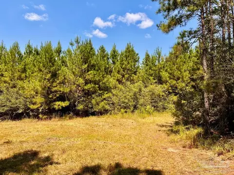 lot15 SW Bashi Rd, Pace, FL 32571 photo 29