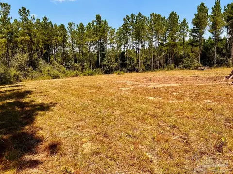 lot15 SW Bashi Rd, Pace, FL 32571 photo 22
