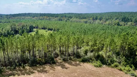 lot15 SW Bashi Rd, Pace, FL 32571 photo 7