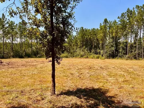 lot15 SW Bashi Rd, Pace, FL 32571 photo 18