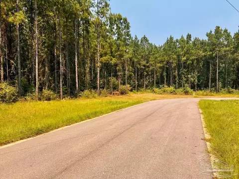 lot15 SW Bashi Rd, Pace, FL 32571 photo 3