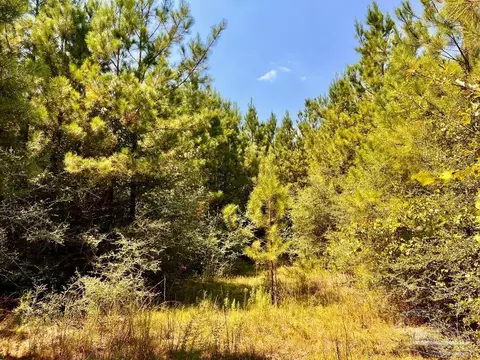 lot15 SW Bashi Rd, Pace, FL 32571 photo 37