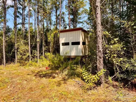 lot15 SW Bashi Rd, Pace, FL 32571 photo 28