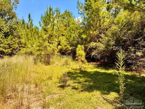 lot15 SW Bashi Rd, Pace, FL 32571 photo 34