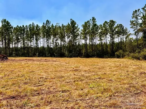 lot15 SW Bashi Rd, Pace, FL 32571 photo 5