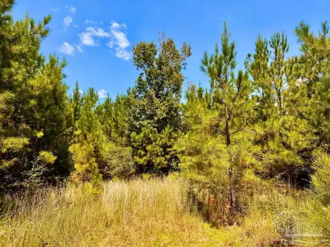 lot15 SW Bashi Rd, Pace, FL 32571 photo 35