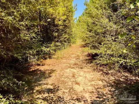 lot15 SW Bashi Rd, Pace, FL 32571 photo 33