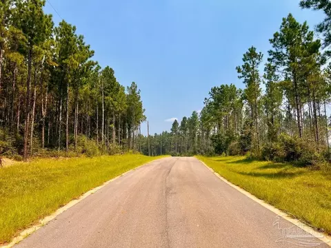 lot15 SW Bashi Rd, Pace, FL 32571 photo 16
