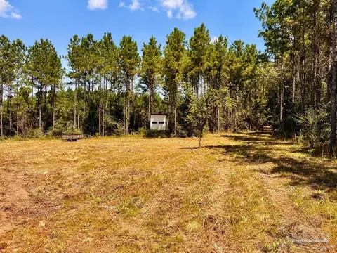 lot15 SW Bashi Rd, Pace, FL 32571 photo 20