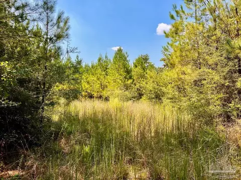 lot15 SW Bashi Rd, Pace, FL 32571 photo 31