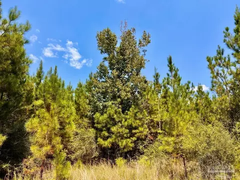 lot15 SW Bashi Rd, Pace, FL 32571 photo 36