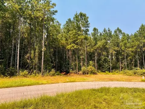lot15 SW Bashi Rd, Pace, FL 32571 photo 14