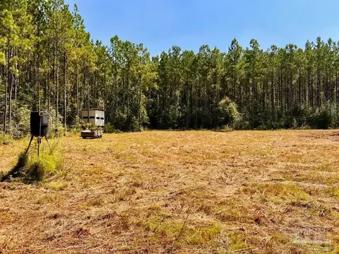 lot15 SW Bashi Rd, Pace, FL 32571 photo 21
