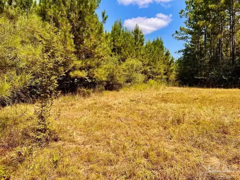 lot15 SW Bashi Rd, Pace, FL 32571 photo 38