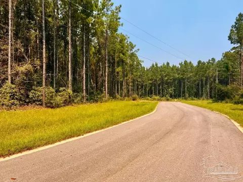 lot15 SW Bashi Rd, Pace, FL 32571 photo 15