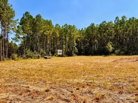 lot15 SW Bashi Rd, Pace, FL 32571 photo 24