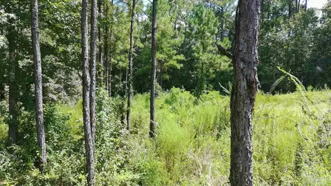 3457 Argyle Dr, Pace, FL 32571 photo 5