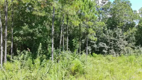 3457 Argyle Dr, Pace, FL 32571 photo 6