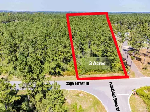 002 Sage Forest Ln #HTTPS://1DRV.MS/V/C/6CF2E6B2, Pace, FL 32571