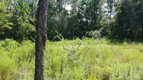 3453 Argyle Dr, Pace, FL 32571 photo 9