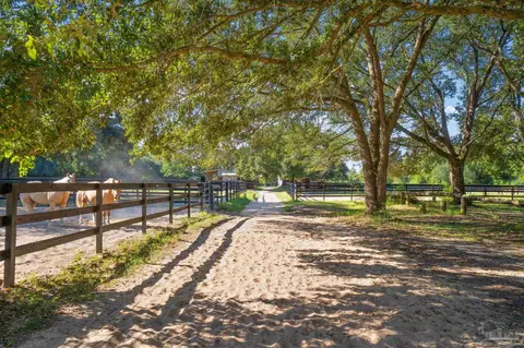 Exterior - 1911 Mathison Rd, Cantonment, FL 32533 photo 5 of 16