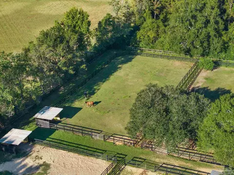 View/Area - 1911 Mathison Rd, Cantonment, FL 32533 photo 4 of 7