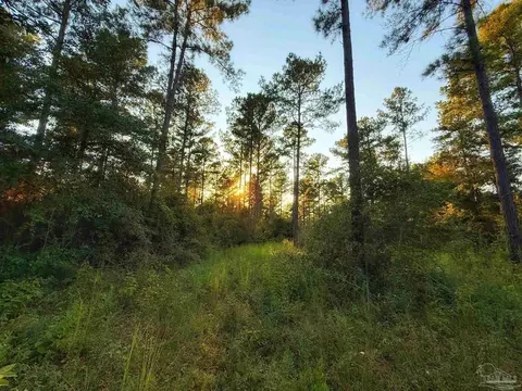 0000 Loblolly Ln, Milton, FL 32570 photo 4